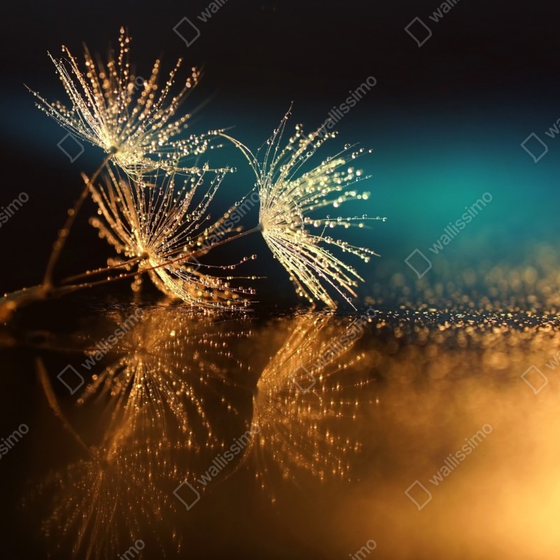 Schrankaufkleber goldene reflexion von löwenzahnsamen – Wallnifity® Schrankaufkleber goldene reflexion von löwenzahnsamen – Wallnifity®