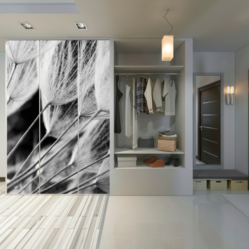 Schrankaufkleber zarte nahaufnahme von löwenzahnsamen in monochrom – Wallnifity®