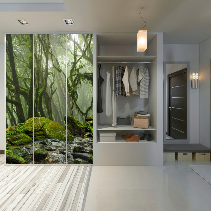 Schrankaufkleber moosiger wald mit bach im nebel – Wallnifity® Schrankaufkleber moosiger wald mit bach im nebel – Wallnifity®