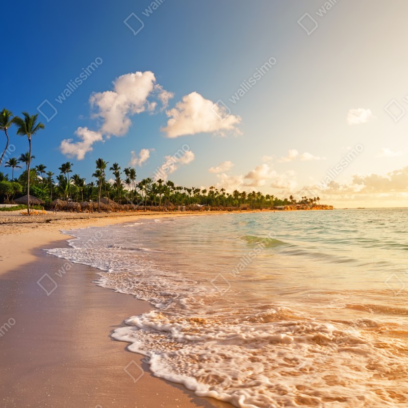 Schrankaufkleber tropischer sonnenuntergang am strand mit palmensilhouetten – Wallnifity® Schrankaufkleber tropischer sonnenuntergang am strand mit palmensilhouetten – Wallnifity®