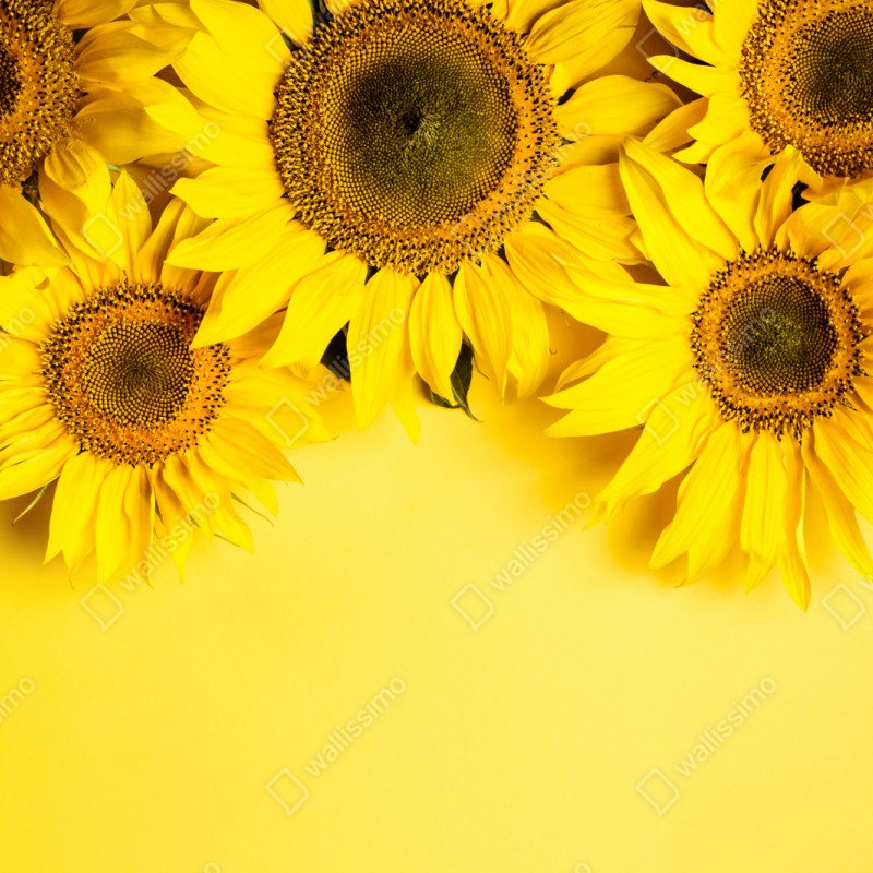 Schrankaufkleber leuchtender sonnenblumenstrauß auf gelbem hintergrund – Wallnifity® Schrankaufkleber leuchtender sonnenblumenstrauß auf gelbem hintergrund – Wallnifity®