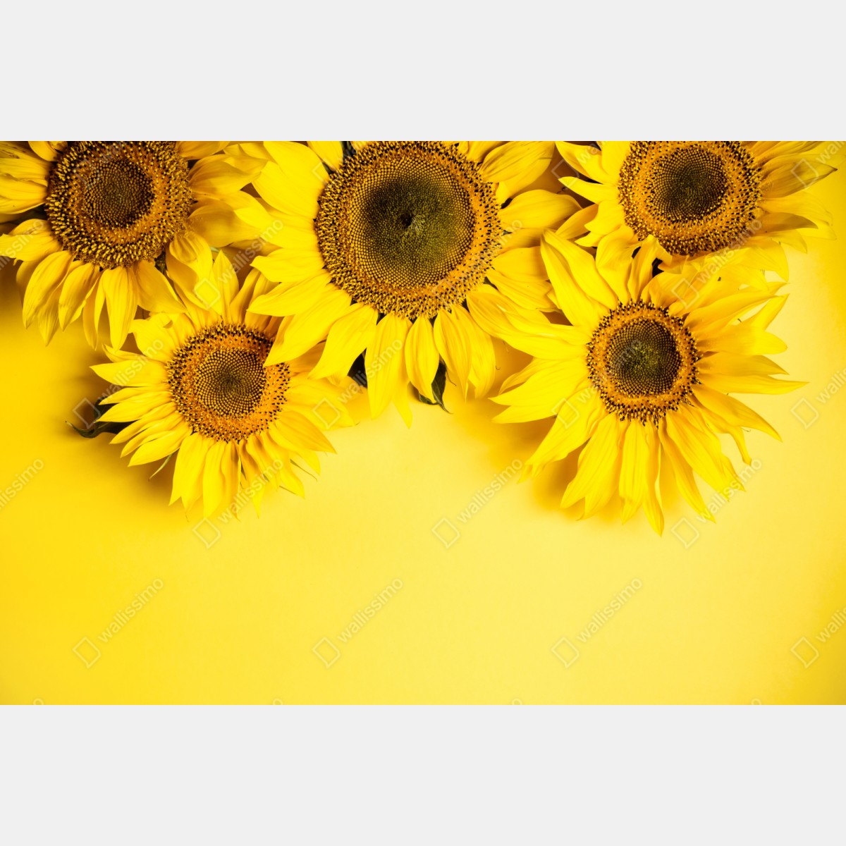 Schrankaufkleber leuchtender sonnenblumenstrauß auf gelbem hintergrund – Wallnifity® Schrankaufkleber leuchtender sonnenblumenstrauß auf gelbem hintergrund – Wallnifity®