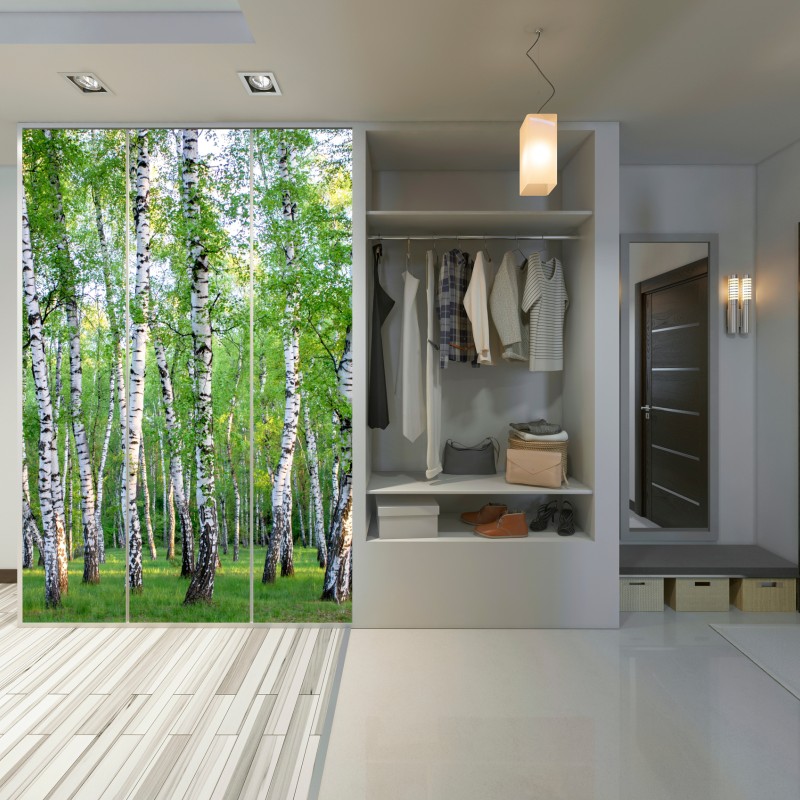 Schrankaufkleber ruhiger birkenhain im sommer – Wallnifity® Schrankaufkleber ruhiger birkenhain im sommer – Wallnifity®