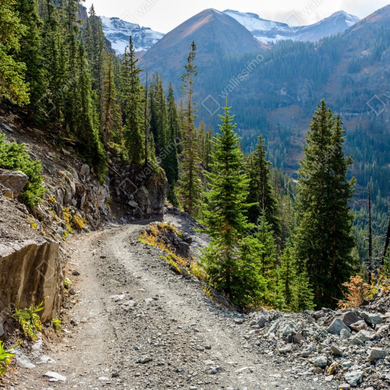 Schrankaufkleber bergpfad durch alpinen wald – Wallnifity® Schrankaufkleber bergpfad durch alpinen wald – Wallnifity®