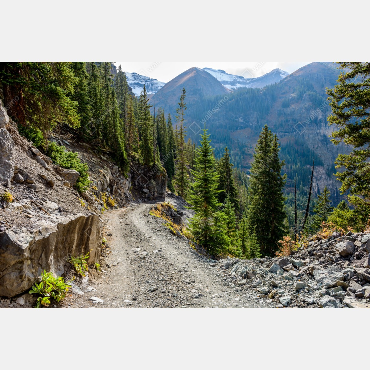 Schrankaufkleber bergpfad durch alpinen wald – Wallnifity® Schrankaufkleber bergpfad durch alpinen wald – Wallnifity®