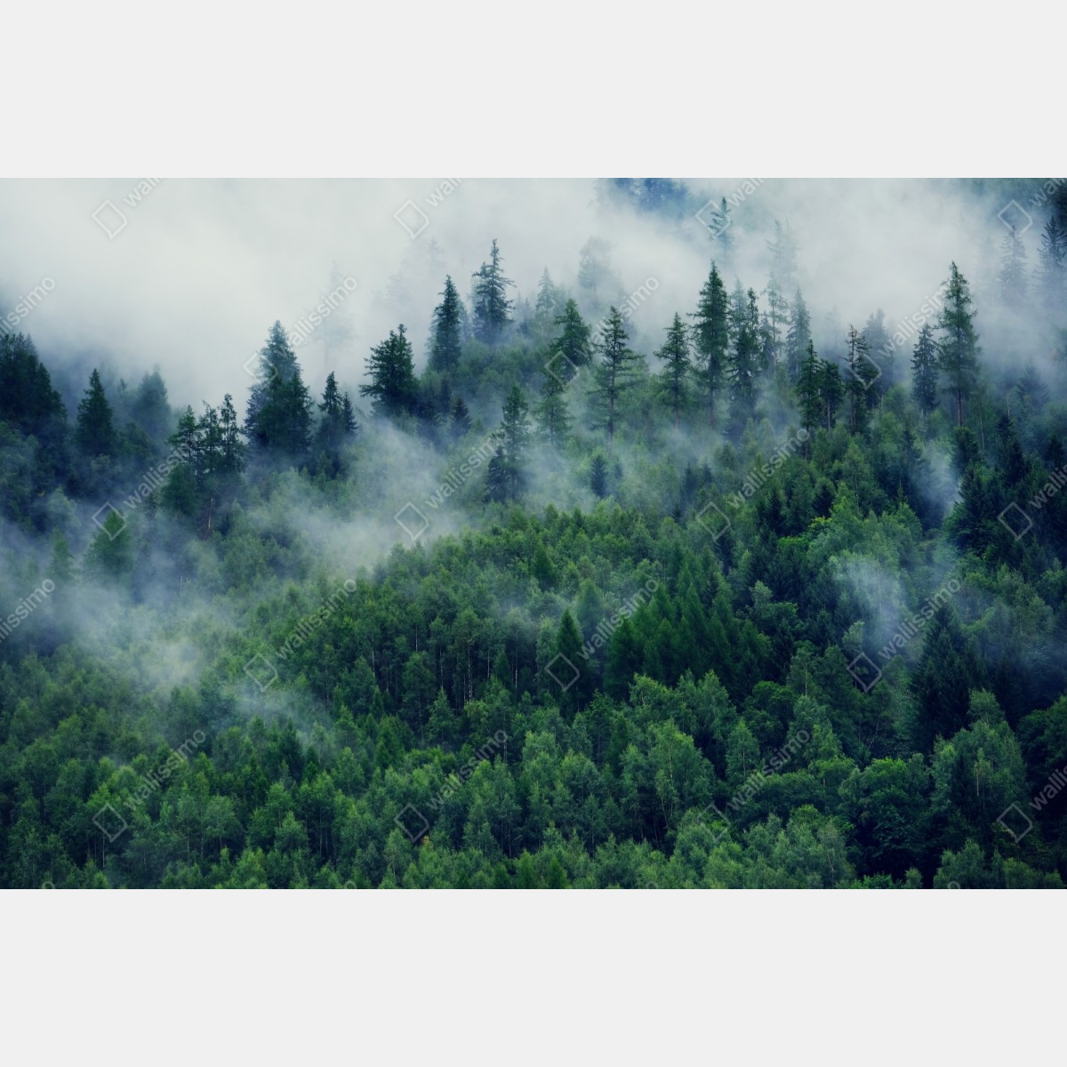 Schrankaufkleber nebliger grüner wald – Wallnifity® Schrankaufkleber nebliger grüner wald – Wallnifity®