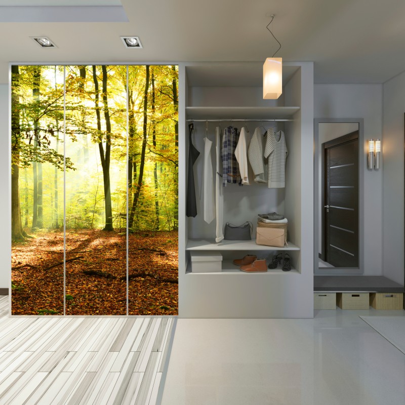 Schrankaufkleber goldener herbstwald am morgen – Wallnifity® Schrankaufkleber goldener herbstwald am morgen – Wallnifity®