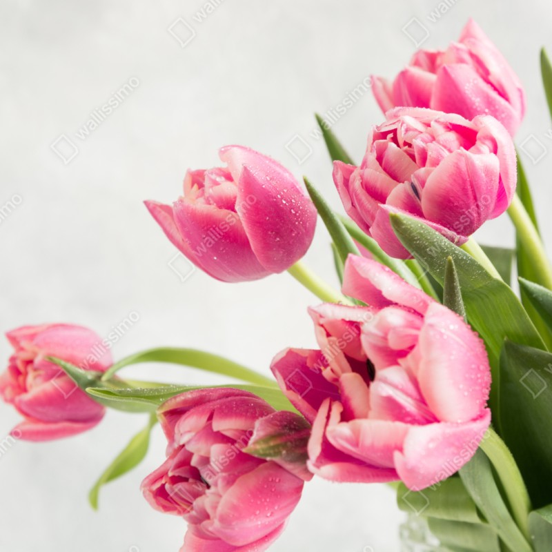 Schrankaufkleber eleganter strauß rosa tulpen – Wallnifity®