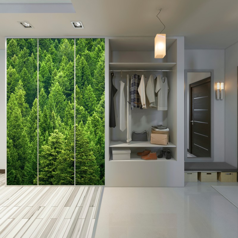 Schrankaufkleber üppige kronen eines kieferwaldes – Wallnifity® Schrankaufkleber üppige kronen eines kieferwaldes – Wallnifity®