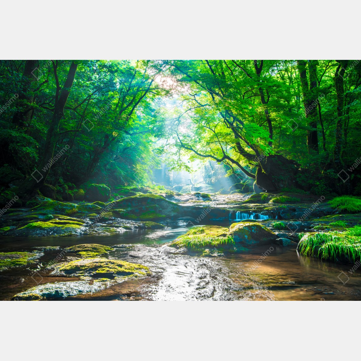 Schrankaufkleber sonnendurchfluteter waldbach mit moosbedeckten steinen – Wallnifity® Schrankaufkleber sonnendurchfluteter waldbach mit moosbedeckten steinen – Wallnifity®