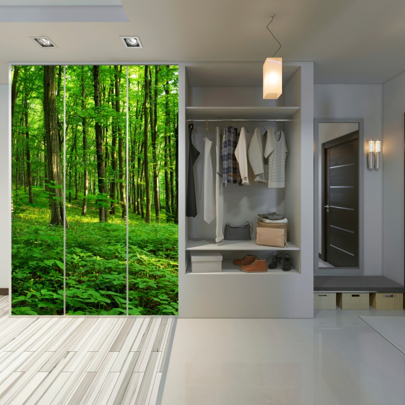 Schrankaufkleber sonniger grüner wald im frühling – Wallnifity®