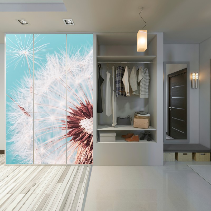 Schrankaufkleber zarter löwenzahn vor türkisfarbenem hintergrund – Wallnifity® Schrankaufkleber zarter löwenzahn vor türkisfarbenem hintergrund – Wallnifity®