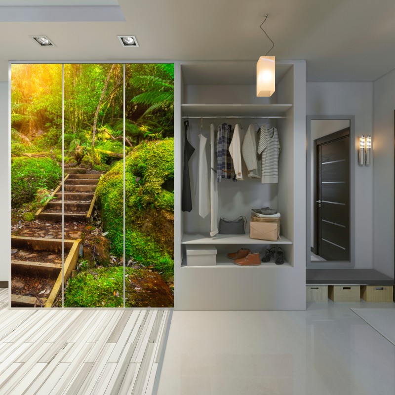 Schrankaufkleber moosiger regenwaldpfad auf der Tasman-Halbinsel – Wallnifity®