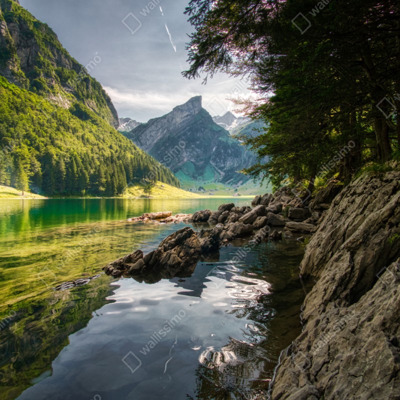 Schrankaufkleber ruhiger bergsee mit spiegelungen im wald – Wallnifity®
