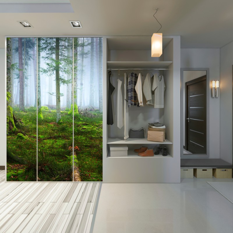 Schrankaufkleber nebliger kiefernwald aus dem Elsass – Wallnifity® Schrankaufkleber nebliger kiefernwald aus dem Elsass – Wallnifity®