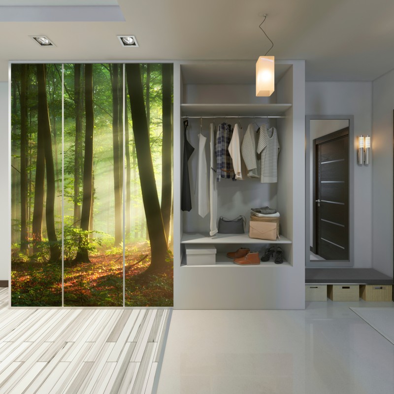 Schrankaufkleber sonnenbeschienener morgenwald – Wallnifity® Schrankaufkleber sonnenbeschienener morgenwald – Wallnifity®