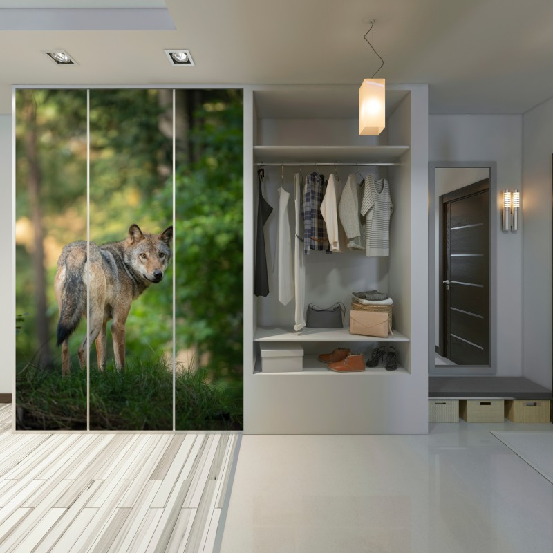 Schrankaufkleber wolf auf der lichtung im wald – Wallnifity® Schrankaufkleber wolf auf der lichtung im wald – Wallnifity®