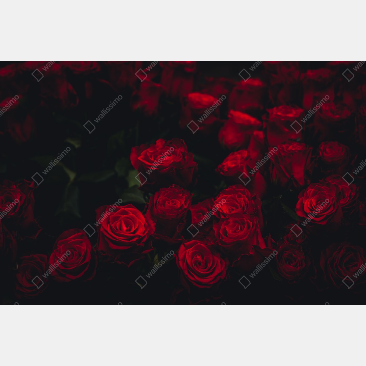 Schrankaufkleber dunkler rosenstrauß – Wallnifity®