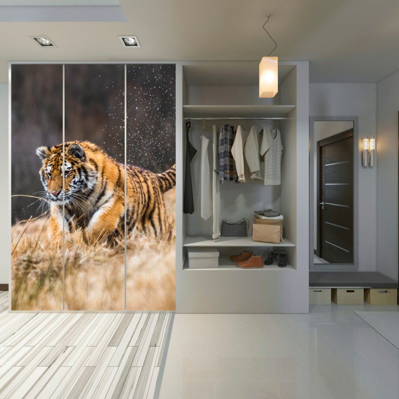 Schrankaufkleber sibirischer tiger in bewegung – Wallnifity® Schrankaufkleber sibirischer tiger in bewegung – Wallnifity®