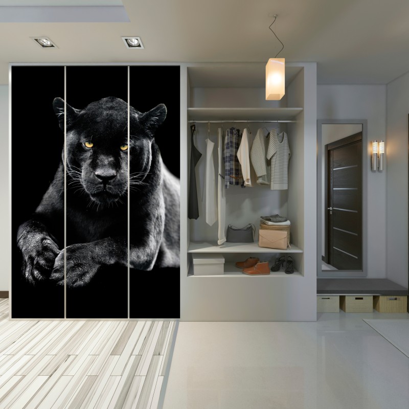 Schrankaufkleber porträt eines schwarzen panthers vor schwarzem hintergrund – Wallnifity® Schrankaufkleber porträt eines schwarzen panthers vor schwarzem hintergrund – Wallnifity®