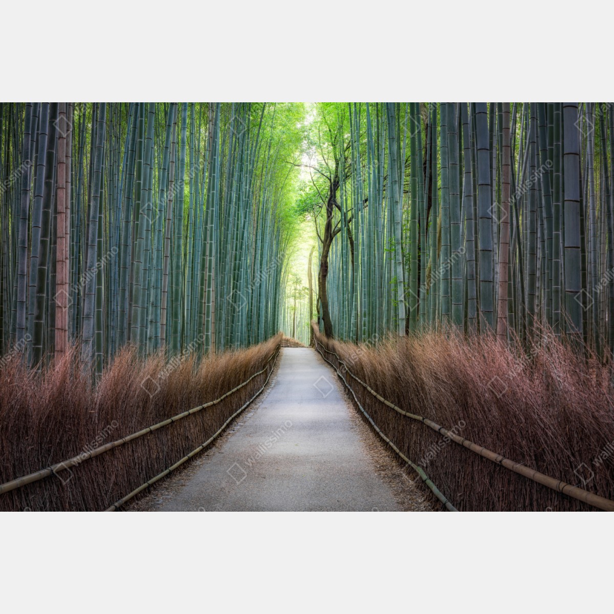 Schrankaufkleber ruhiger bambuswaldweg – Wallnifity® Schrankaufkleber ruhiger bambuswaldweg – Wallnifity®