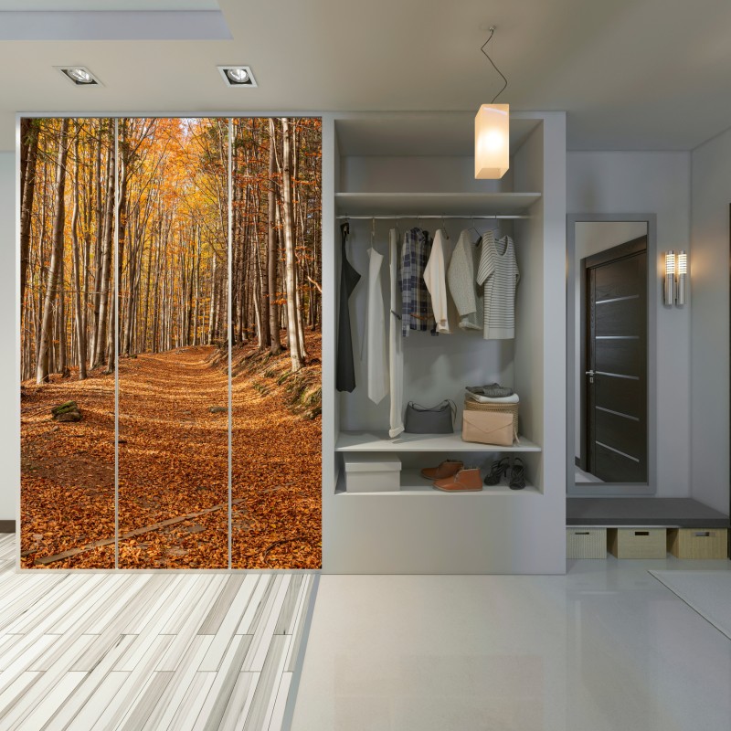 Schrankaufkleber herbstlicher waldweg mit goldenen blättern – Wallnifity® Schrankaufkleber herbstlicher waldweg mit goldenen blättern – Wallnifity®