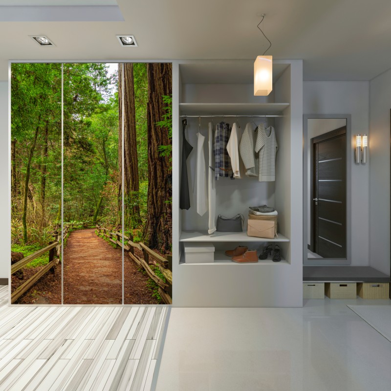 Schrankaufkleber majestätischer waldpfad zwischen mammutbäumen – Wallnifity® Schrankaufkleber majestätischer waldpfad zwischen mammutbäumen – Wallnifity®