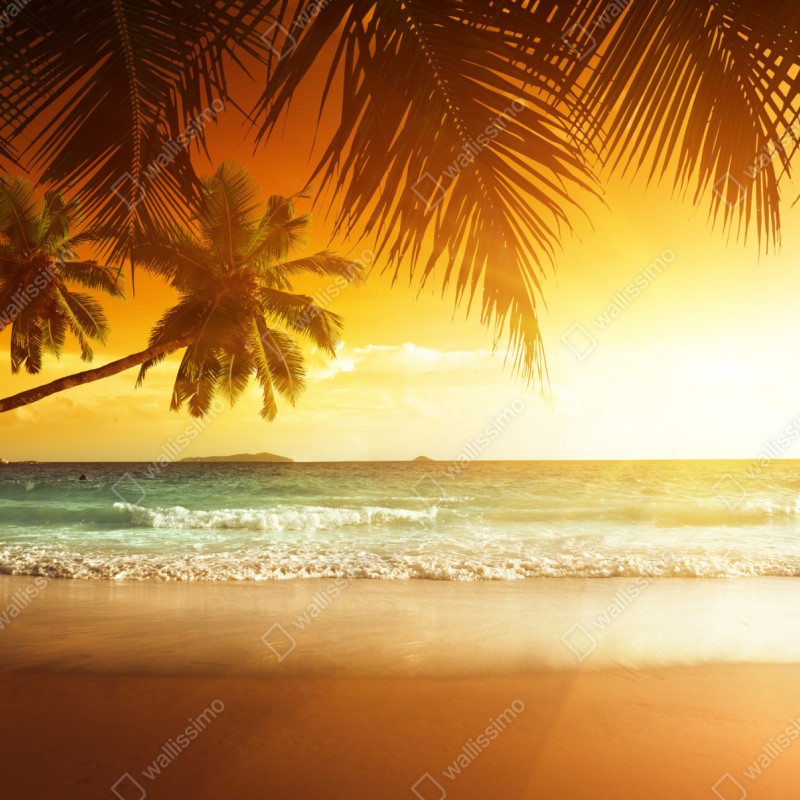 Schrankaufkleber goldener sonnenuntergang an einem strand in der Karibik – Wallnifity® Schrankaufkleber goldener sonnenuntergang an einem strand in der Karibik – Wallnifity®