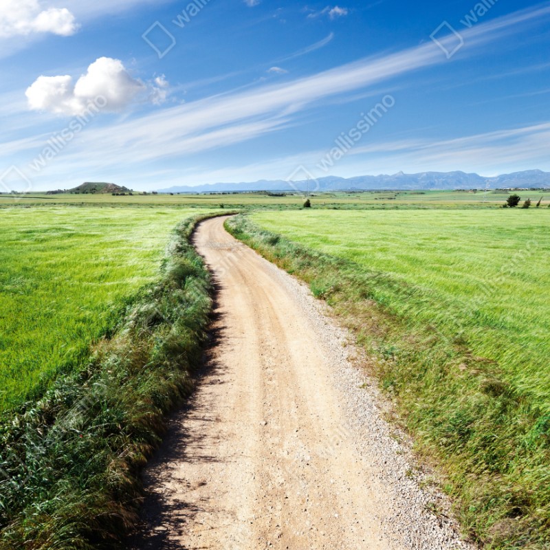 Schrankaufkleber gewundener landweg durch grüne wiesen – Wallnifity® Schrankaufkleber gewundener landweg durch grüne wiesen – Wallnifity®