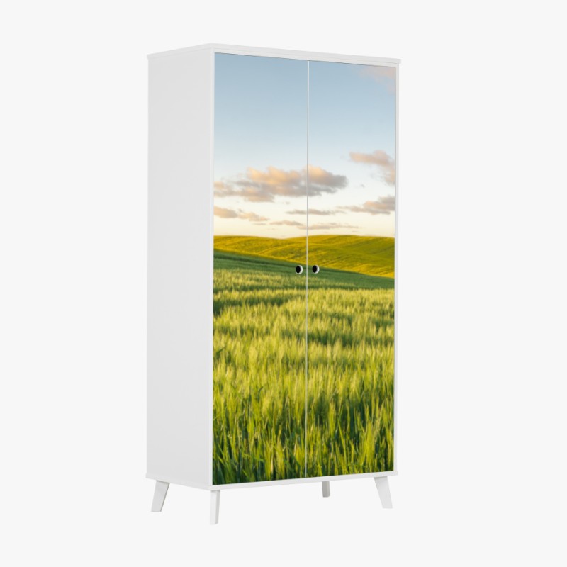 Schrankaufkleber sonniger feldweg mit einsamem baum – Wallnifity®