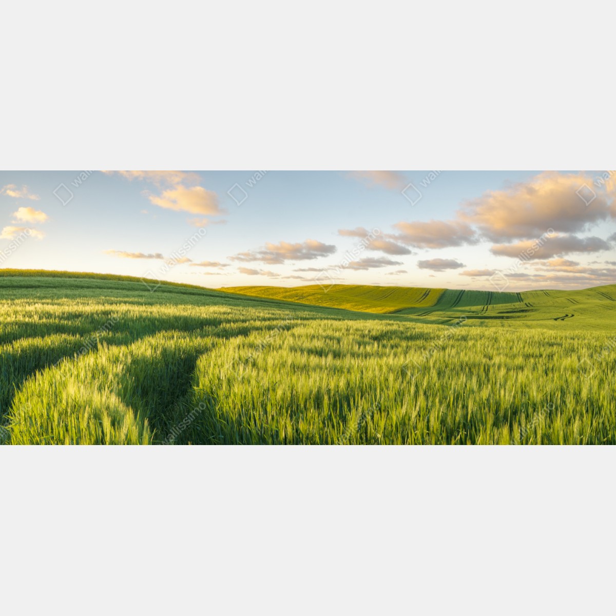 Schrankaufkleber ruhige grüne wiesen panorama – Wallnifity® Schrankaufkleber ruhige grüne wiesen panorama – Wallnifity®