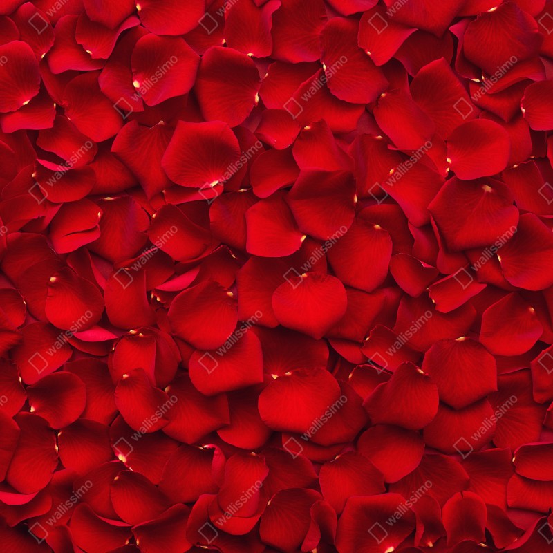 Schrankaufkleber rote rosenblätter hintergrund – Wallnifity® Schrankaufkleber rote rosenblätter hintergrund – Wallnifity®