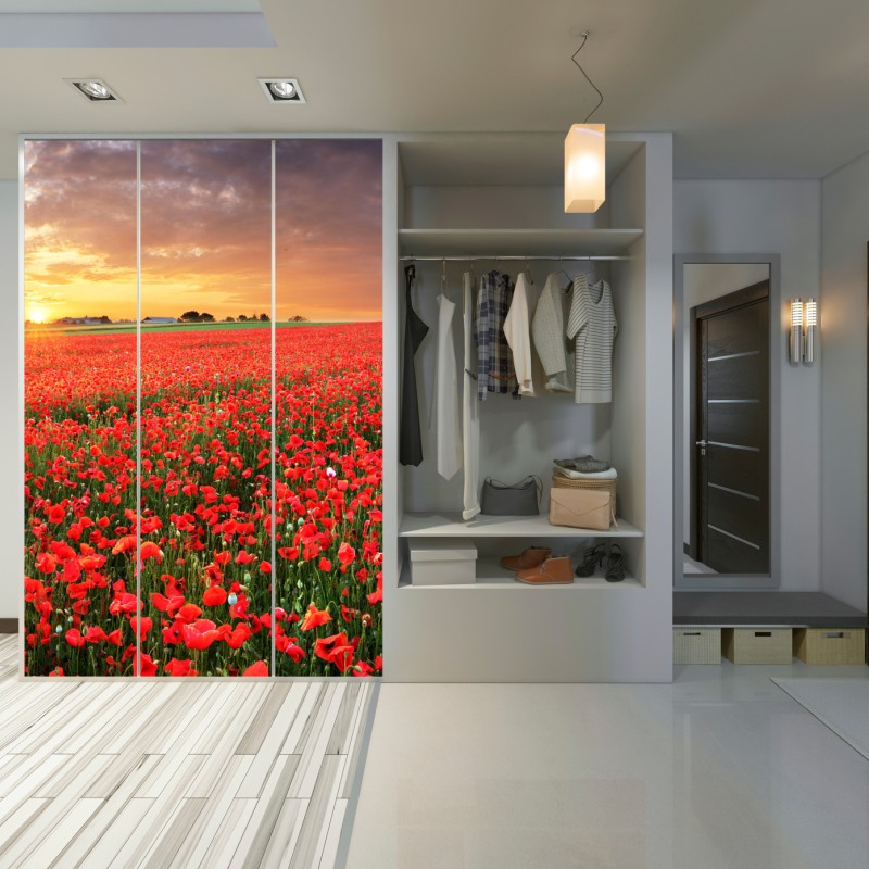 Schrankaufkleber mohnfeld im sonnenuntergang – Wallnifity® Schrankaufkleber mohnfeld im sonnenuntergang – Wallnifity®