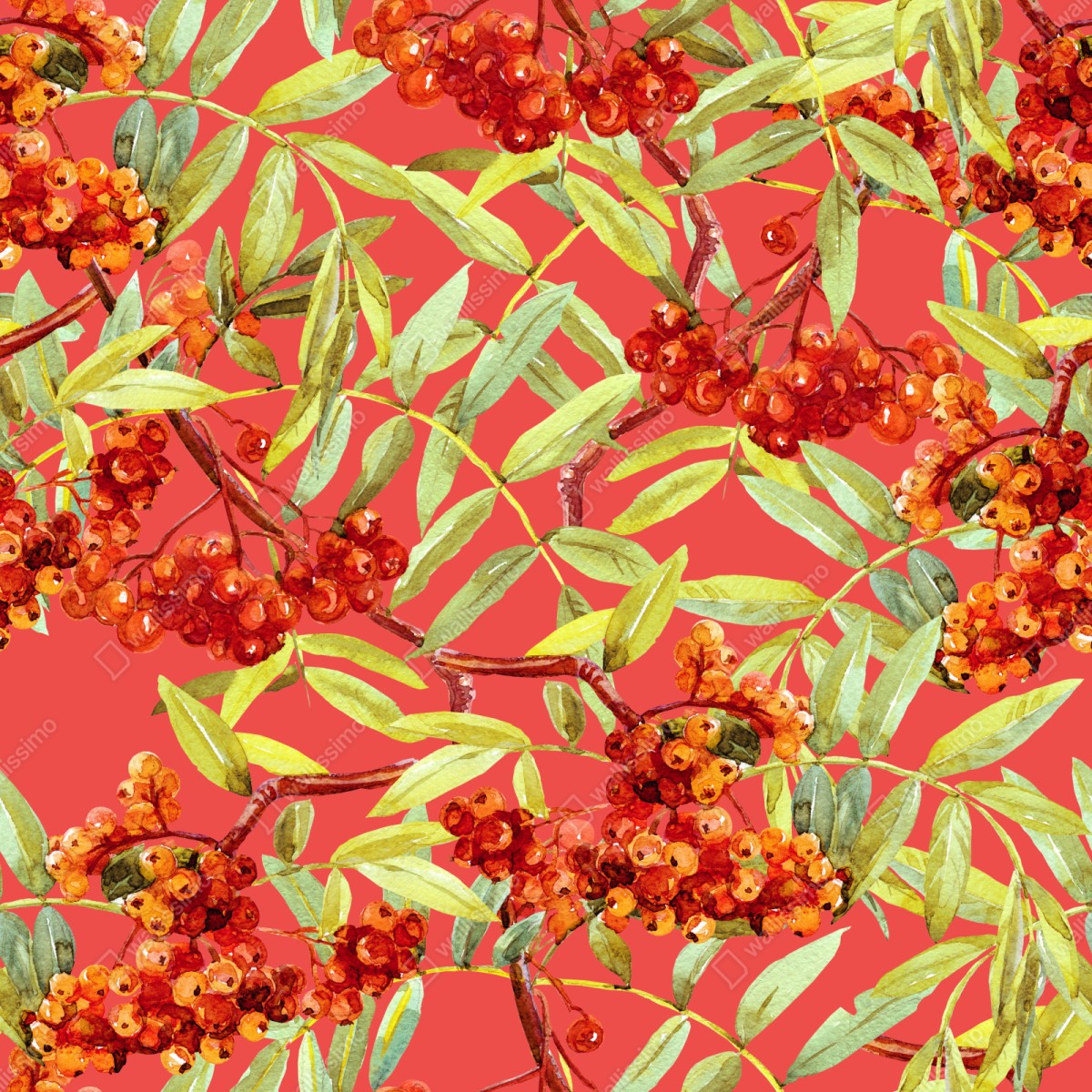 Schrankaufkleber aquarellmuster mit vogelbeeren – Wallnifity®