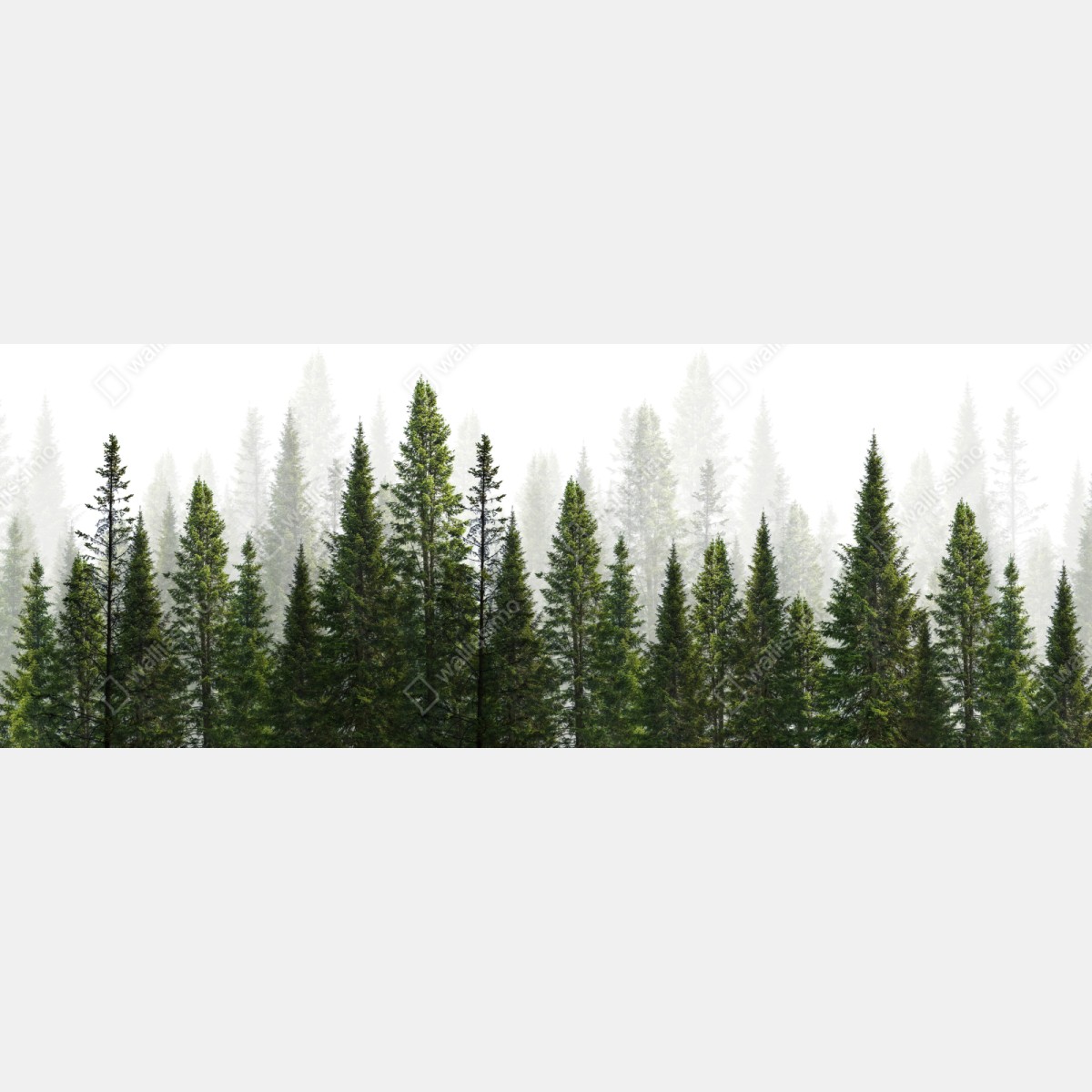 Schrankaufkleber nebliger tannenwald – Wallnifity®