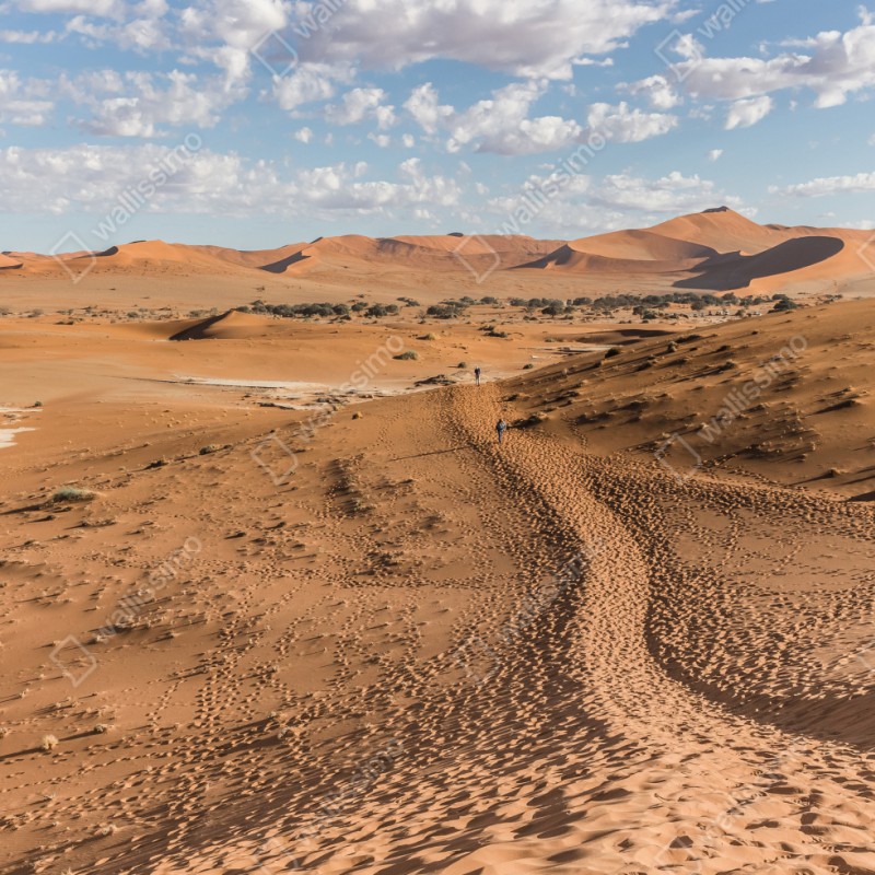 Schrankaufkleber weite wüstendünen unter blauem himmel – Wallnifity® Schrankaufkleber weite wüstendünen unter blauem himmel – Wallnifity®