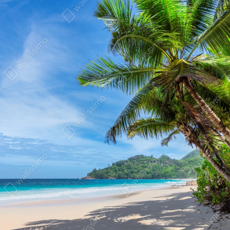 Schrankaufkleber tropischer strand mit palmen und segelboot – Wallnifity® Schrankaufkleber tropischer strand mit palmen und segelboot – Wallnifity®