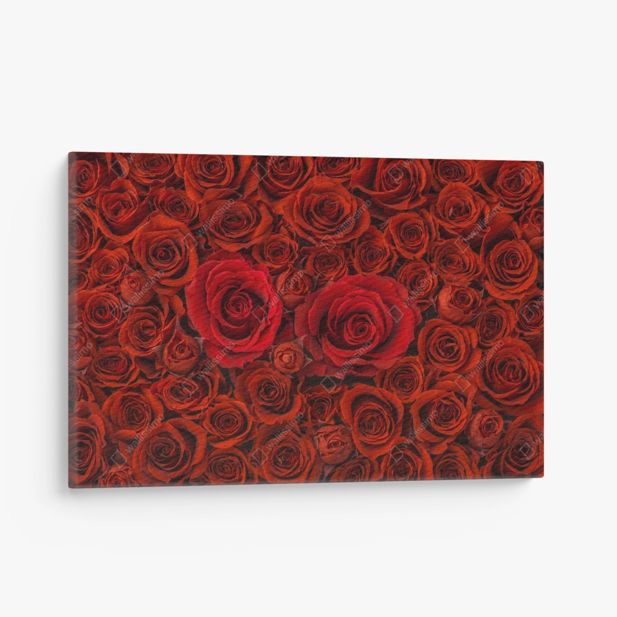 Leinwandbild prunkvolle collage roter rosen – Wallnifity®