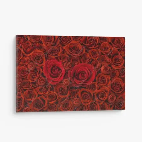 Leinwandbild prunkvolle collage roter rosen – Wallnifity®