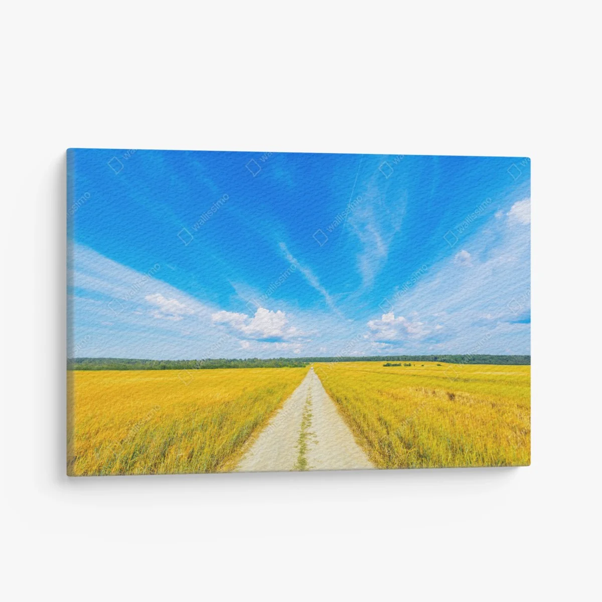 Leinwandbild goldene wiese unter weitem blauem himmel – Wallnifity® Leinwandbild goldene wiese unter weitem blauem himmel – Wallnifity®