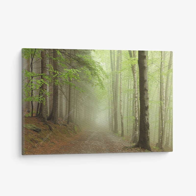 Leinwandbild nebliger waldpfad