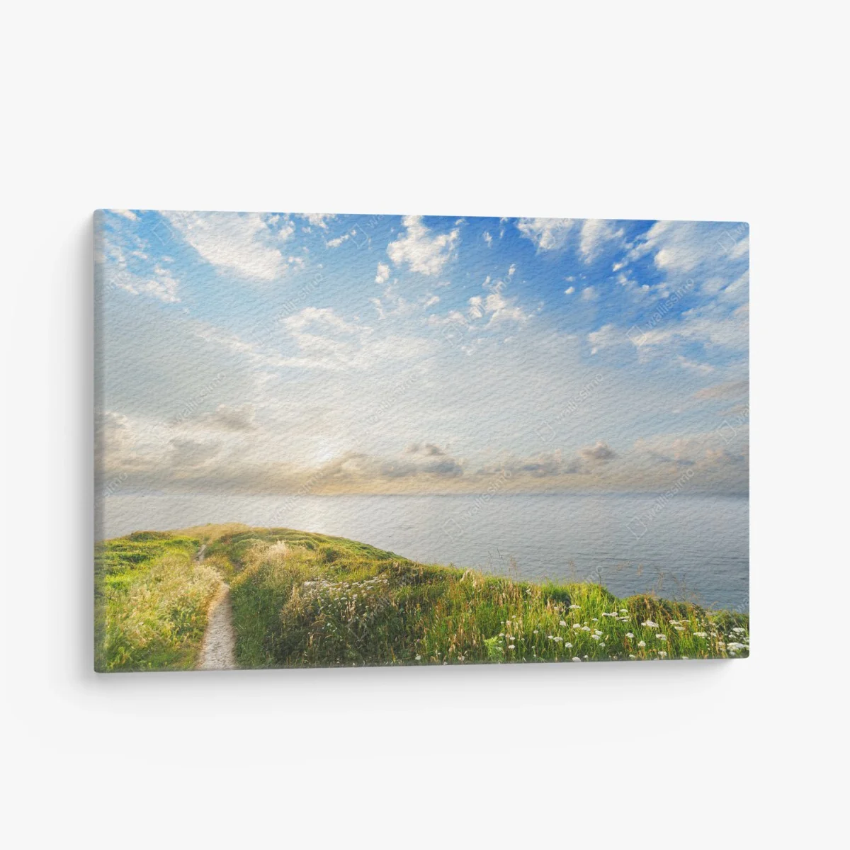 Leinwandbild sonniger küstenpfad zum meer – Wallnifity® Leinwandbild sonniger küstenpfad zum meer – Wallnifity®