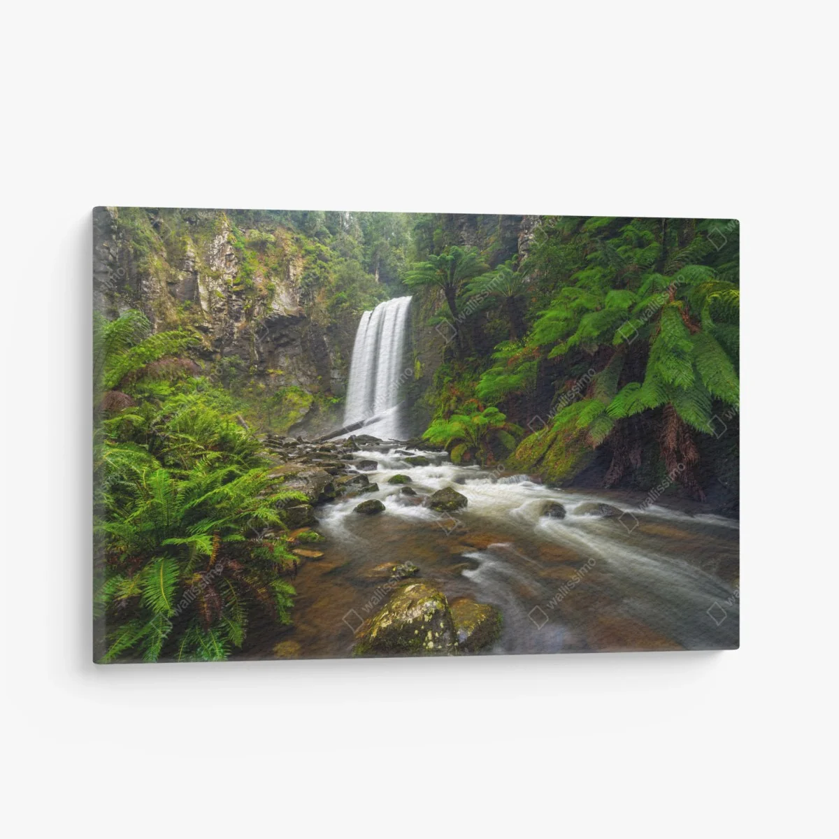 Leinwandbild üppiger wasserfall im farnwald – Wallnifity® Leinwandbild üppiger wasserfall im farnwald – Wallnifity®