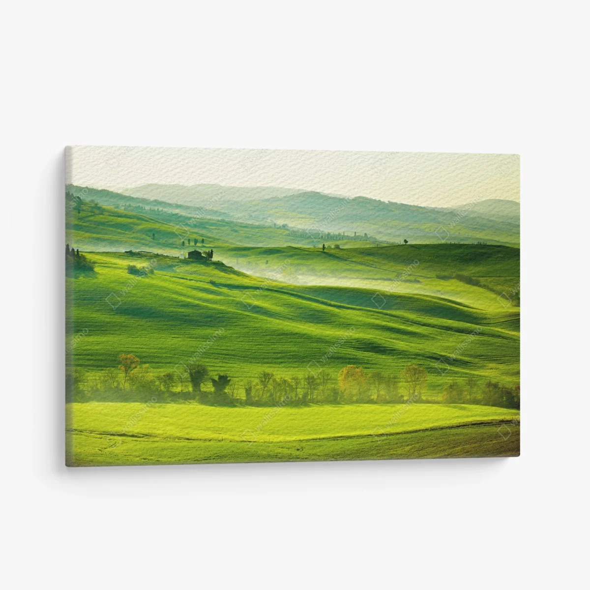 Leinwandbild sonnige sanft hügelnde landschaft der Toskana – Wallnifity® Leinwandbild sonnige sanft hügelnde landschaft der Toskana – Wallnifity®