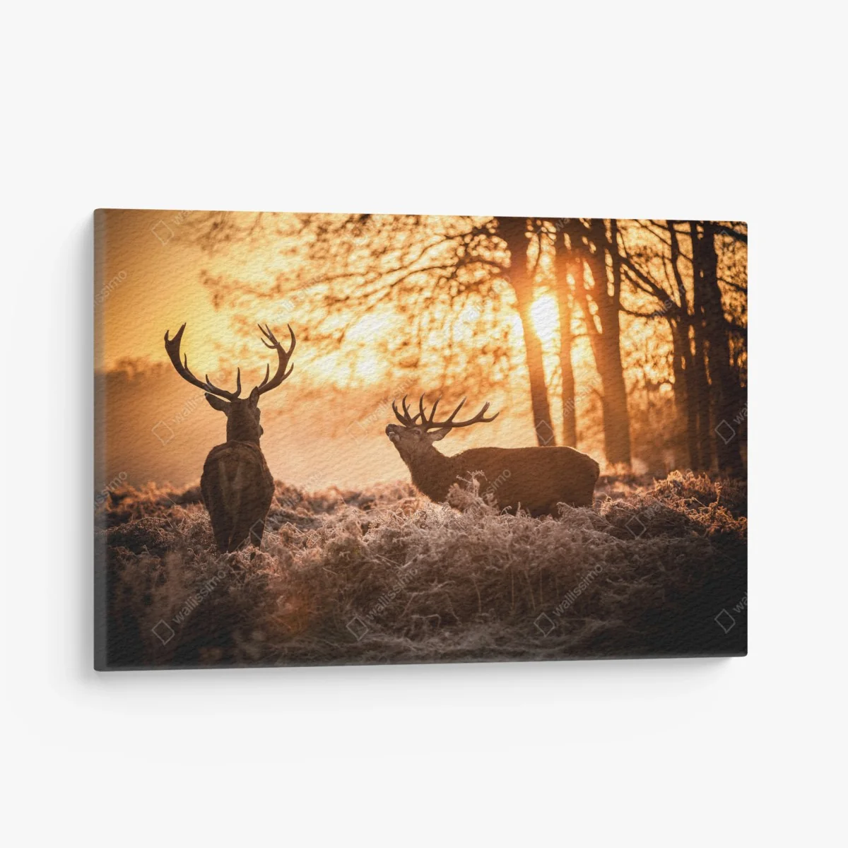 Leinwandbild goldener sonnenaufgang mit hirschen auf frostiger wiese – Wallnifity®