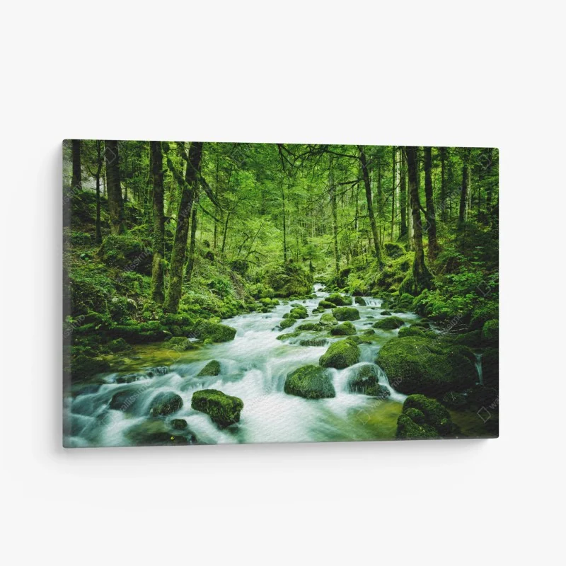 Leinwandbild moosbedeckter waldbach