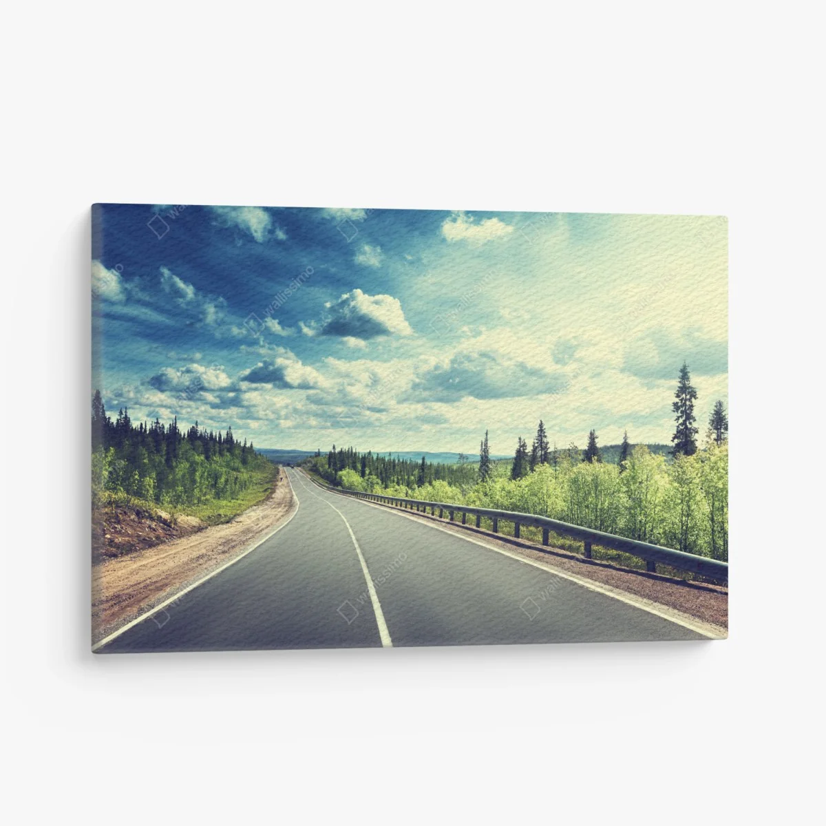 Leinwandbild sonnenbeschienene waldstraße bis zum horizont – Wallnifity®