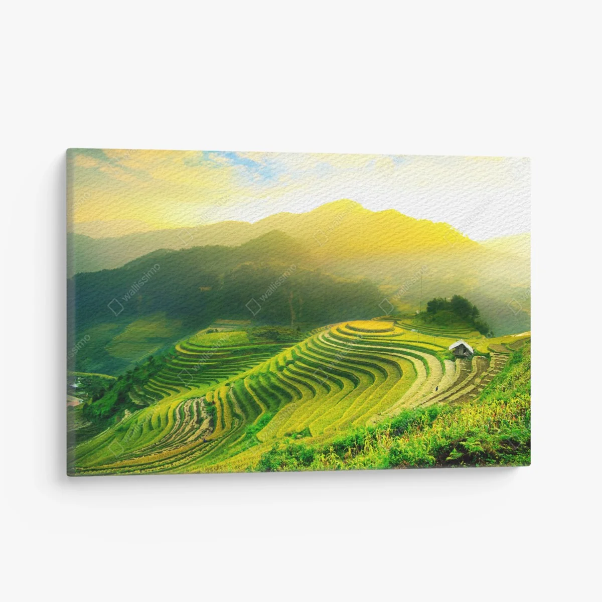 Leinwandbild goldene reisterrassen im morgenlicht – Wallnifity® Leinwandbild goldene reisterrassen im morgenlicht – Wallnifity®