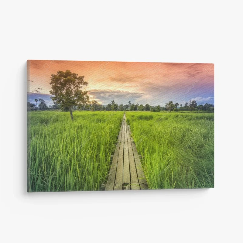 Leinwandbild eukalyptus aquarell botanisches muster auf dunklem hintergrund – Wallnifity®
