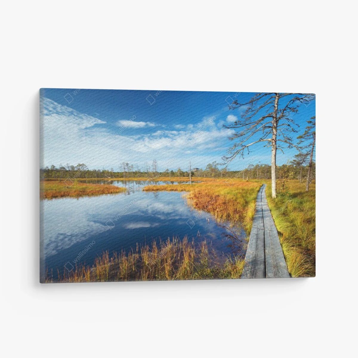 Leinwandbild herbststeg über ruhigem moor – Wallnifity®